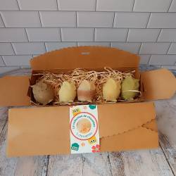 Le coffret de 5 chouettes