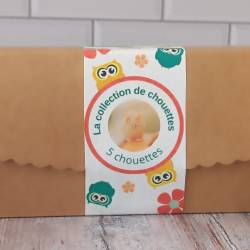 Le coffret de 5 chouettes