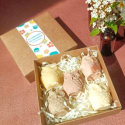 Le coffret de 5 chouettes