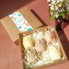 Le coffret de 5 chouettes