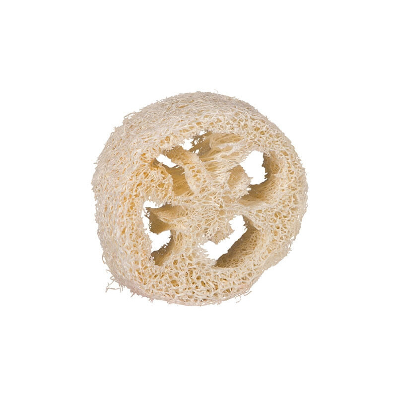 biodegradable porte-savon loofah loupa luffa courge zerowaste