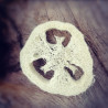 biodegradable porte-savon loofah loupa luffa courge zerowaste