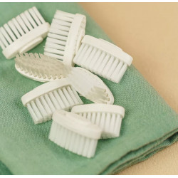 Tête brosse à dents